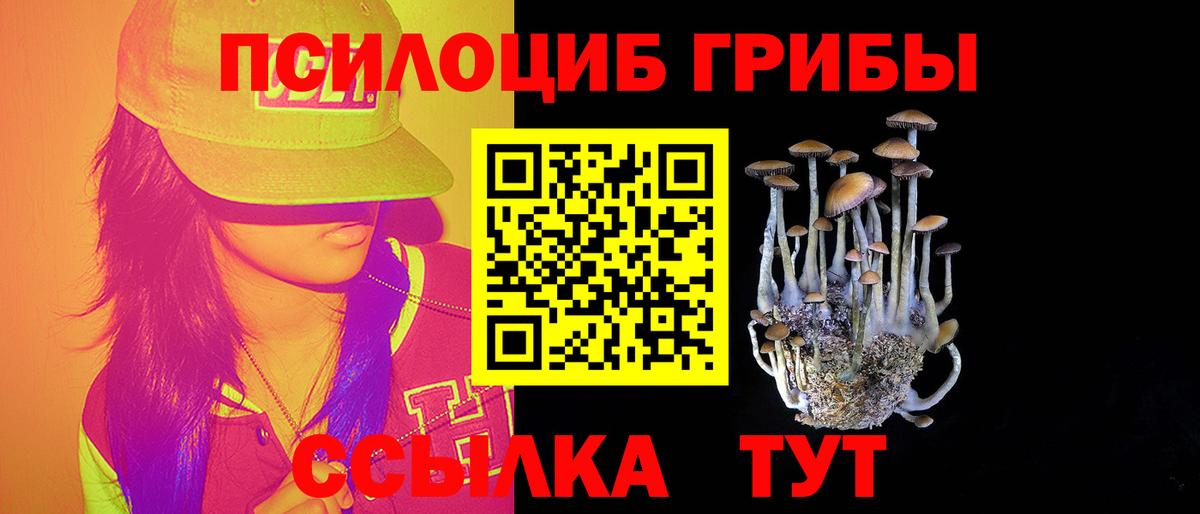 Тимашёвск  Галлюциногенные грибы мицелий  Вход с VPN 